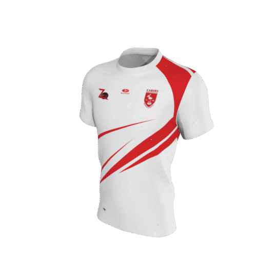 Let's Create TW1 TeamWear Mens Jersey. (x 20)